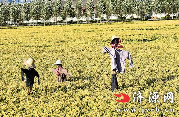 新开天龙八部私服