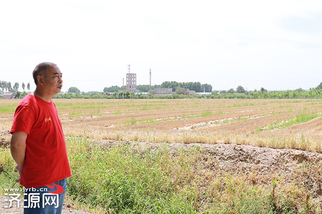 轵城镇:三夏防火忙 为麦田里的一抹红点赞!