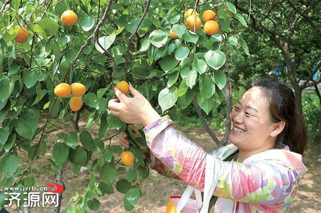 济源网