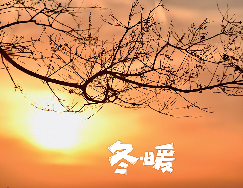 《冬日暖阳》 摄影:懒琳涛