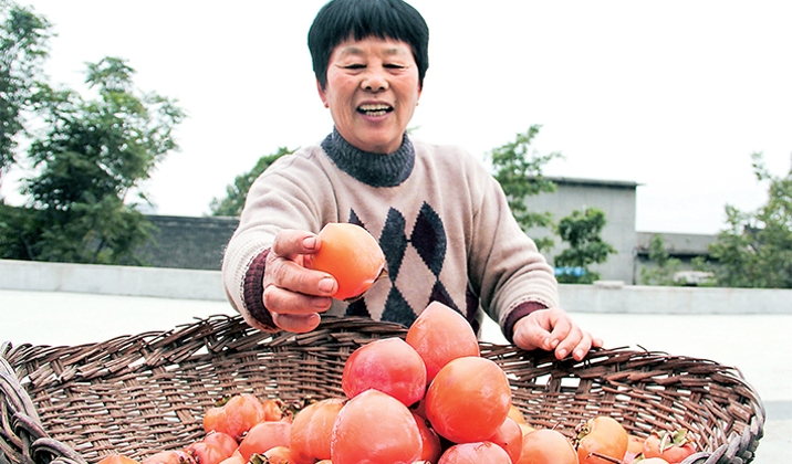 济源网