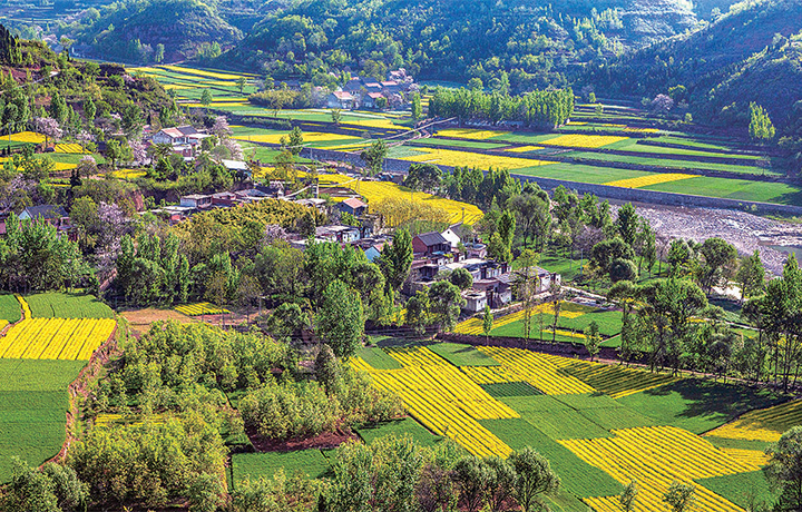 济源全域旅游市场开启“春天模式”日暖风和踏歌行