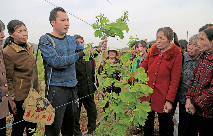 邵原镇人口_邵原镇第一初级中学(2)