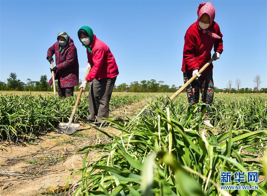 （新华全媒头条·图文互动）（17）从人民中汲取磅礴力量——习近平总书记同出席2020年全国两会人大代表、政协委员共商国是纪实