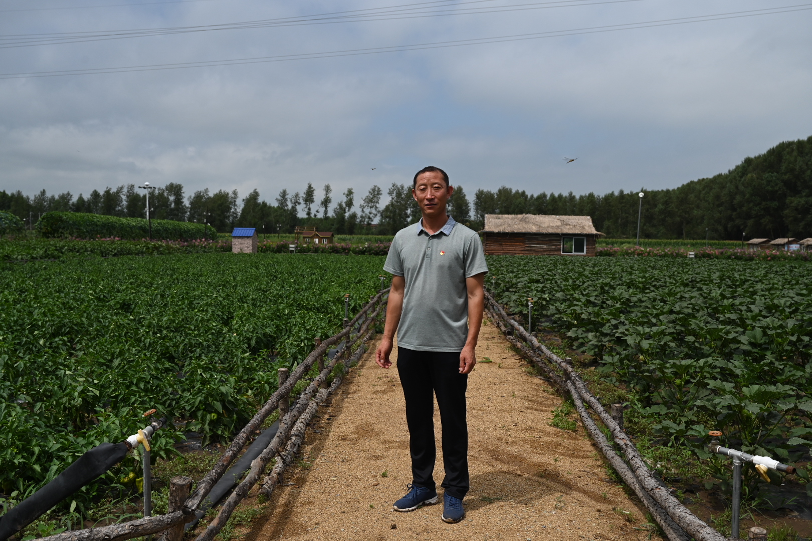 白双龙在开心农场  澎湃新闻记者 孙湛 图