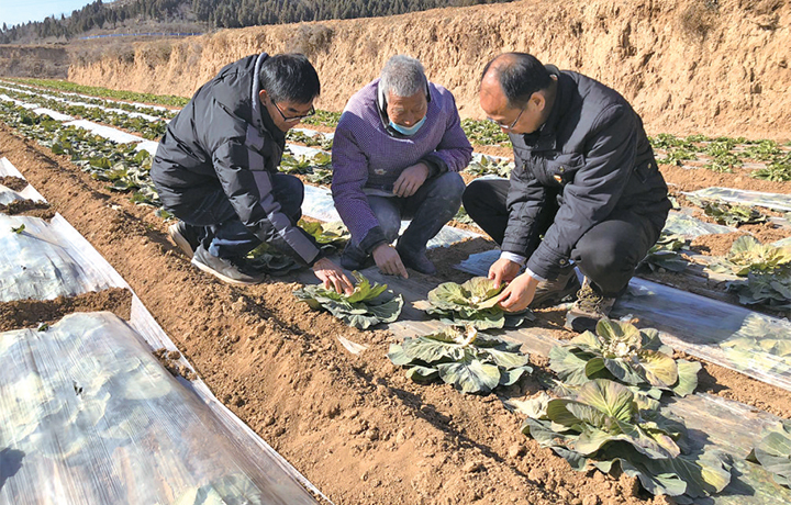 济源网