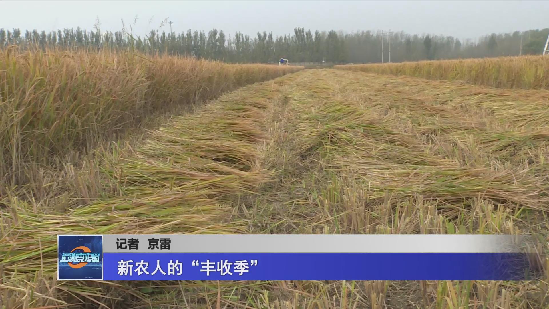 济源网