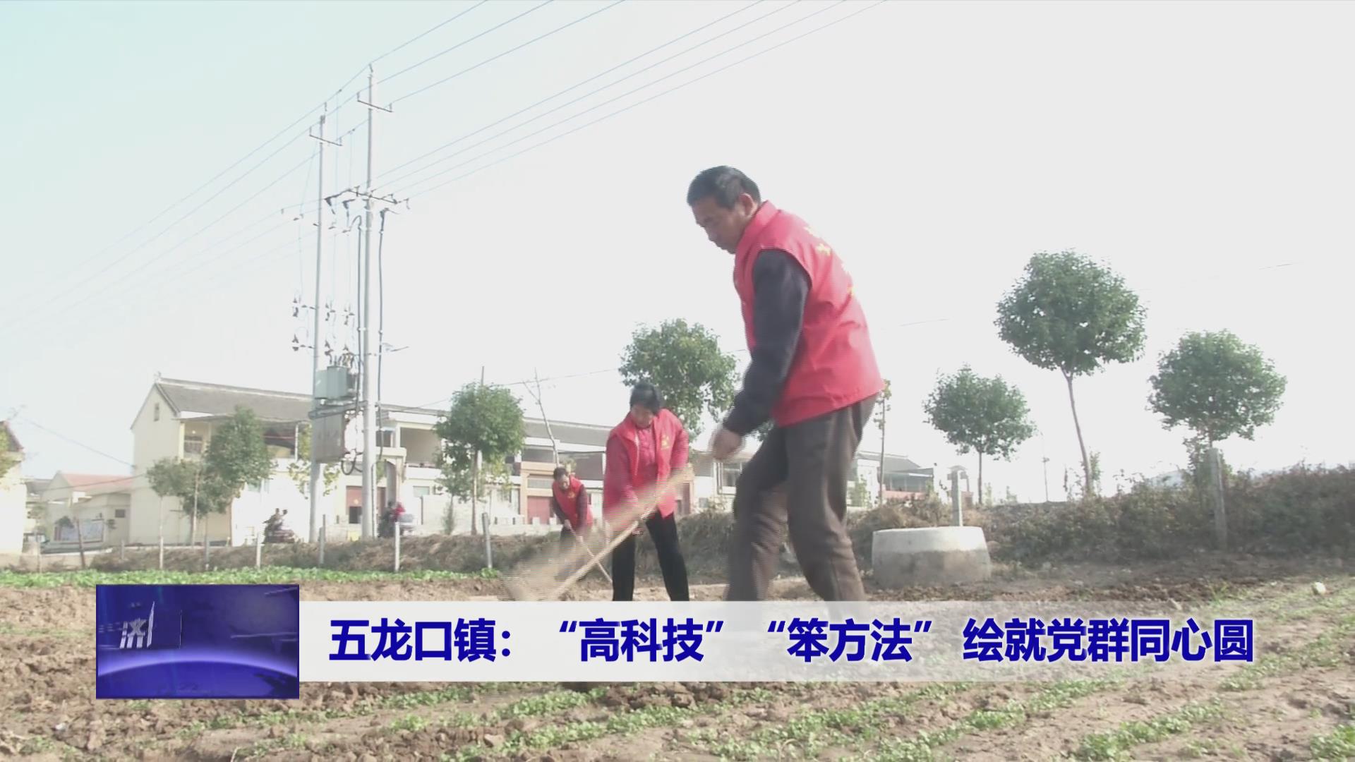 济源网