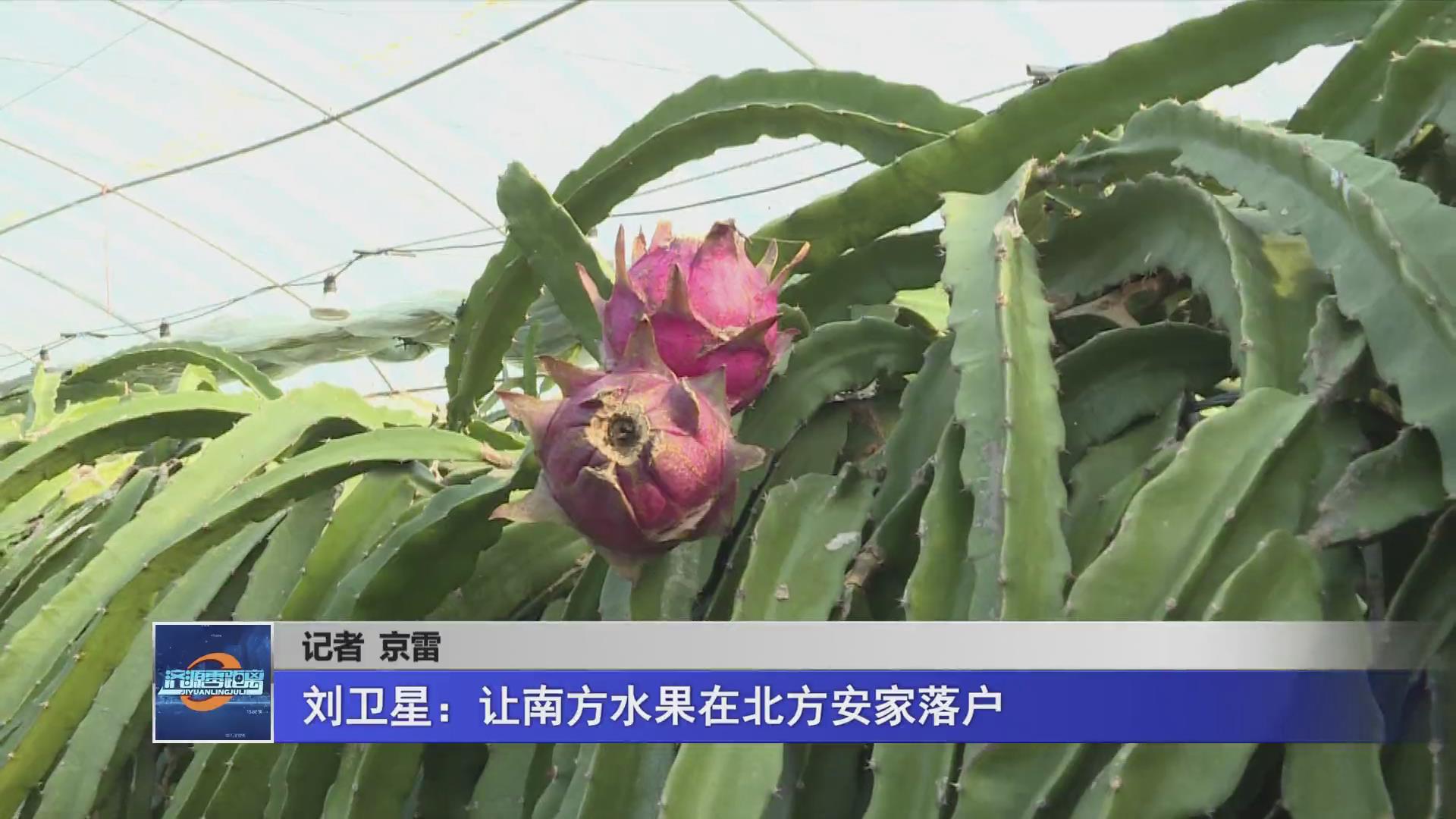 济源网