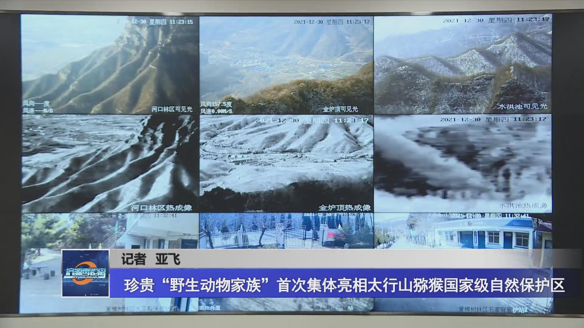 济源网
