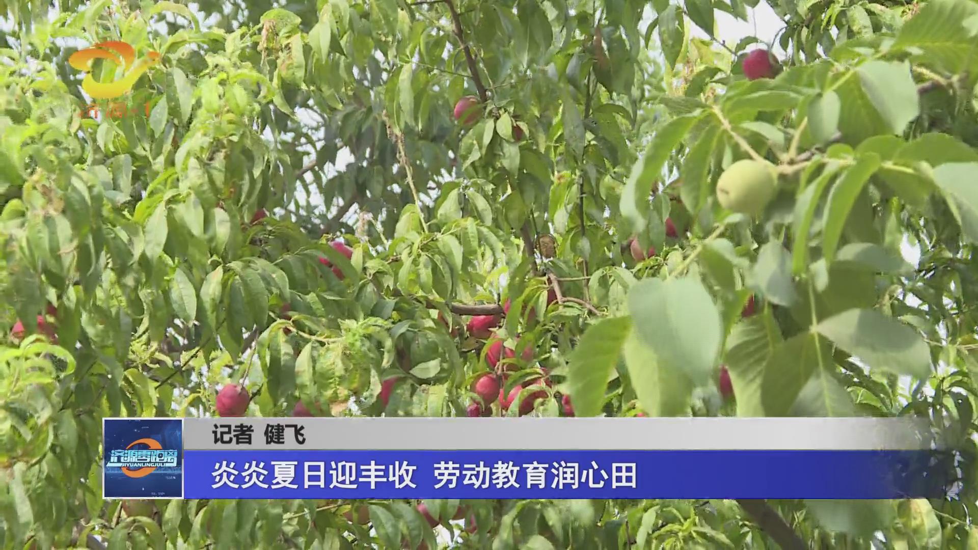 济源网