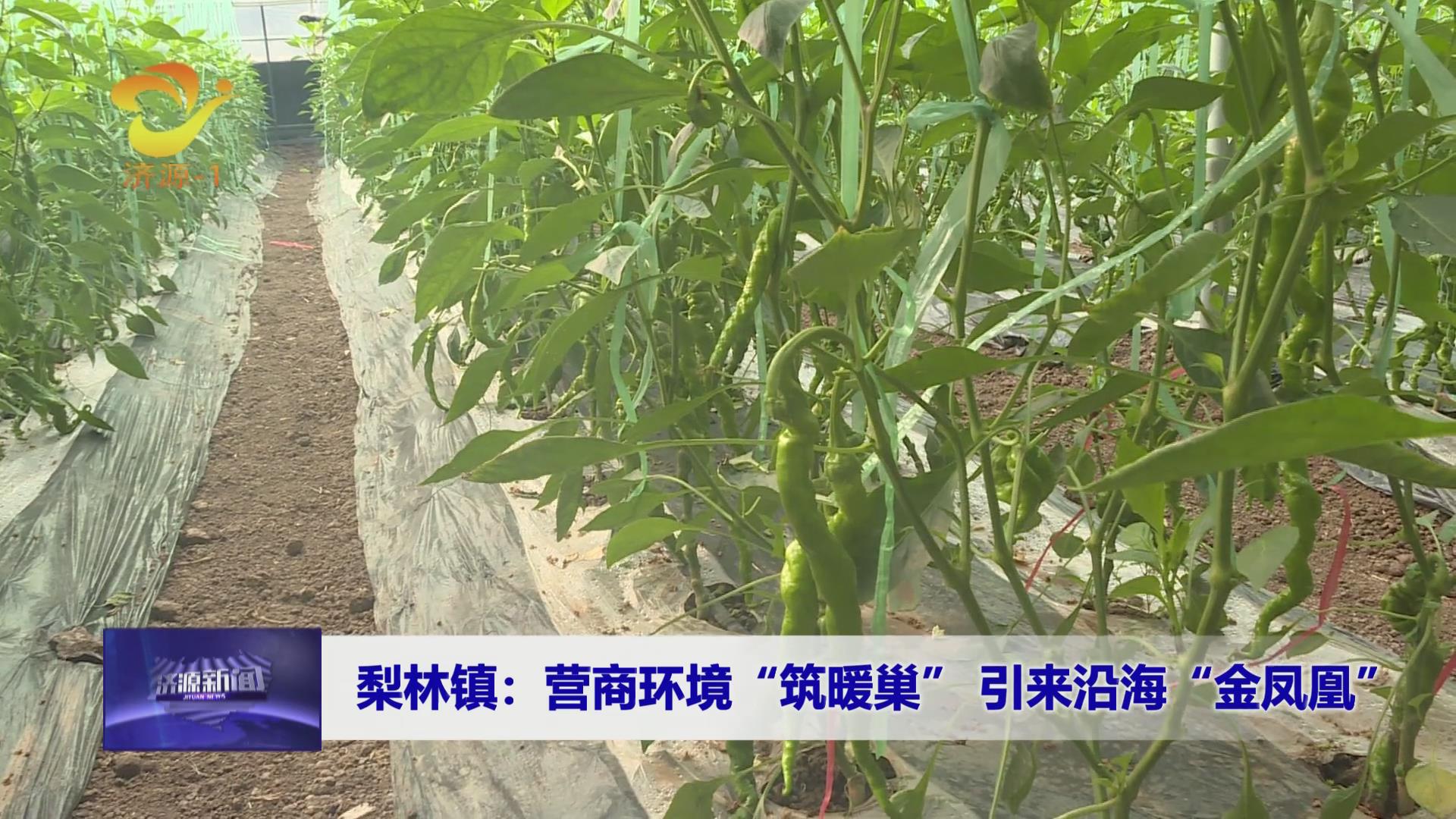 济源网