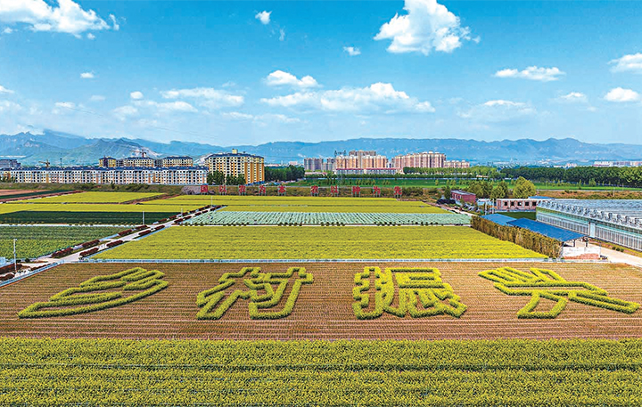济源网