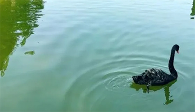 济源网
