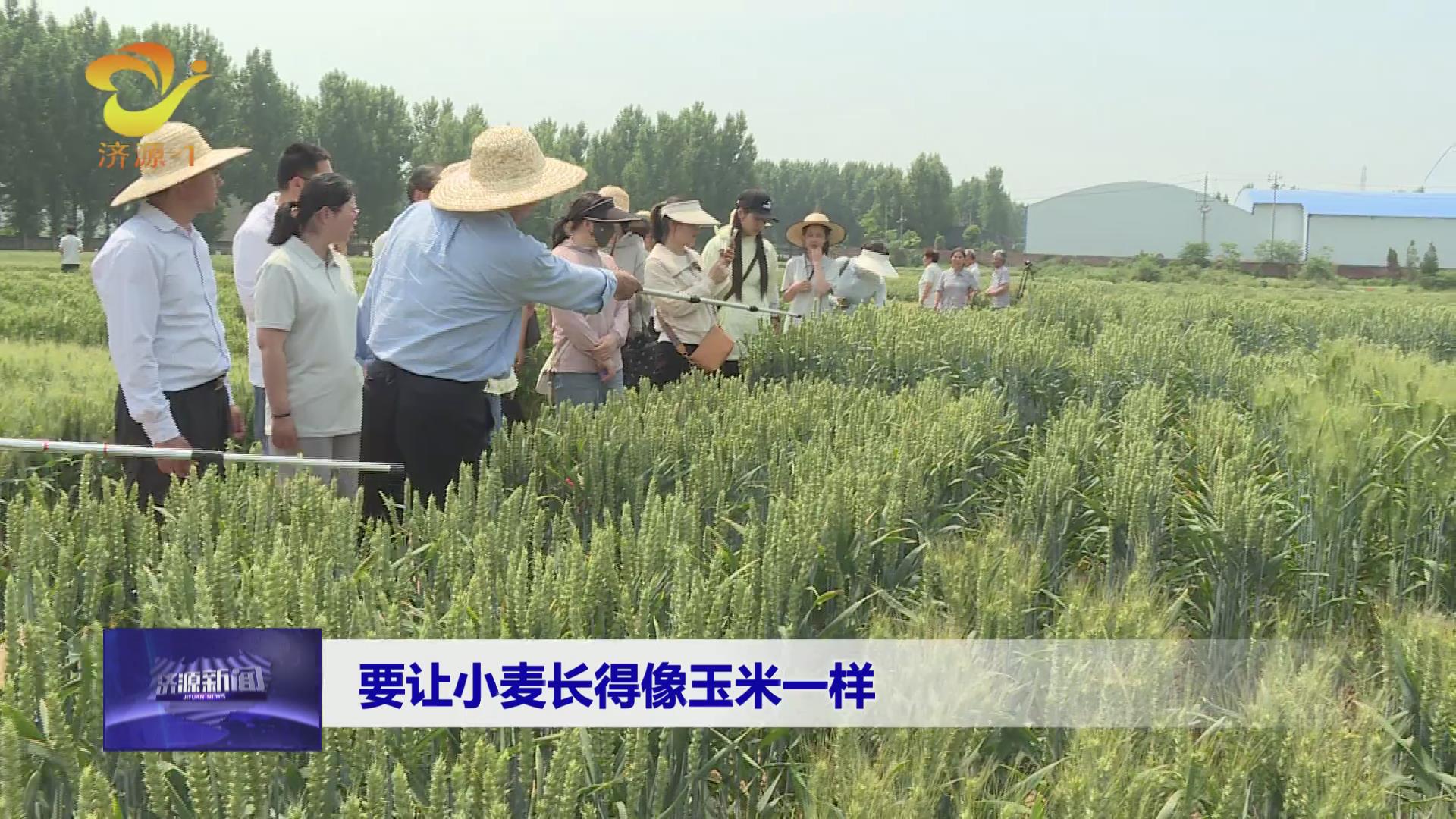 济源网