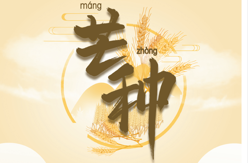 济源网