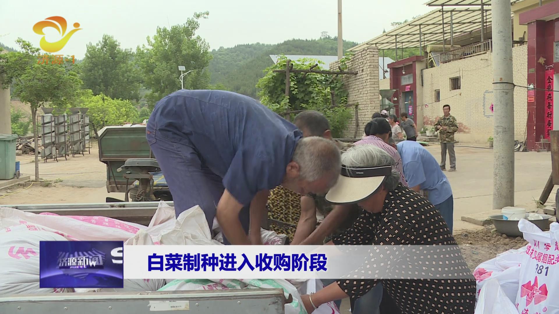 济源网