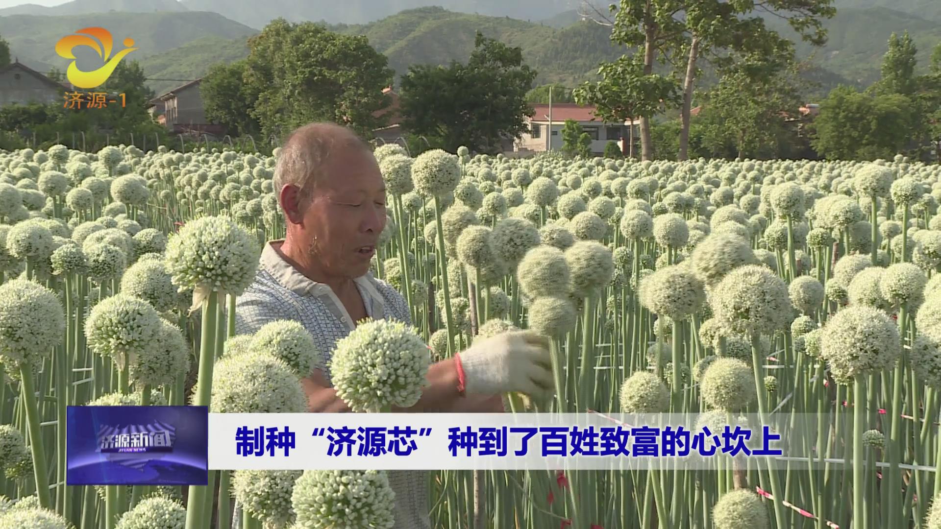 济源网