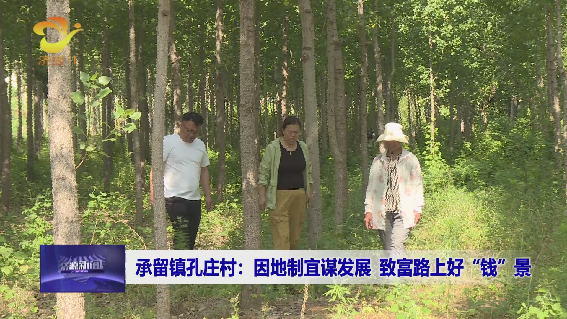 济源网