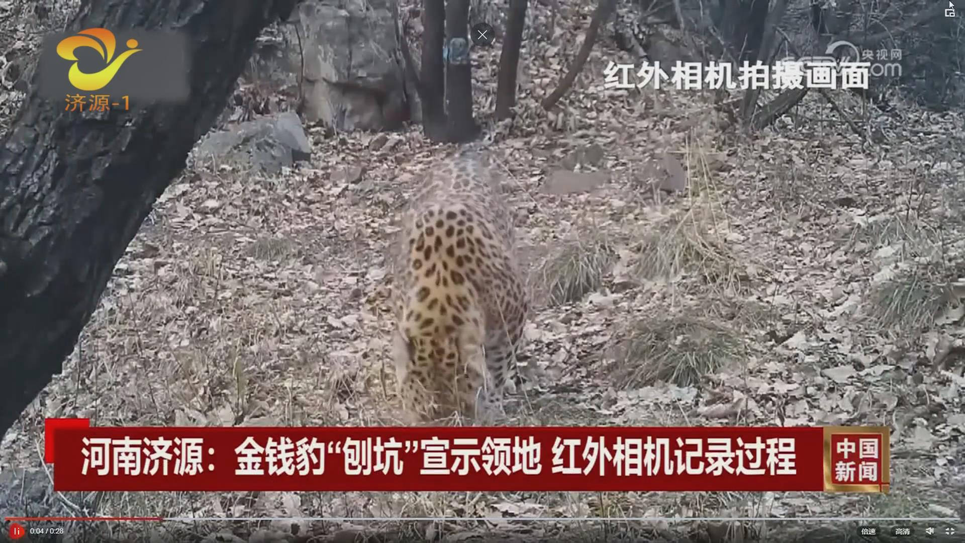 济源网