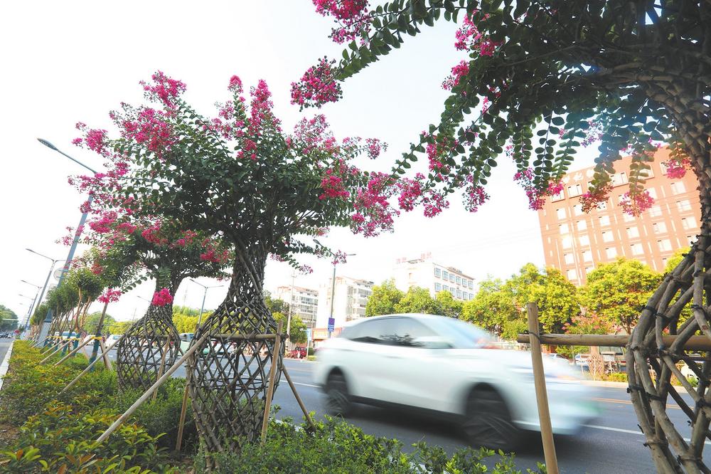 济源网