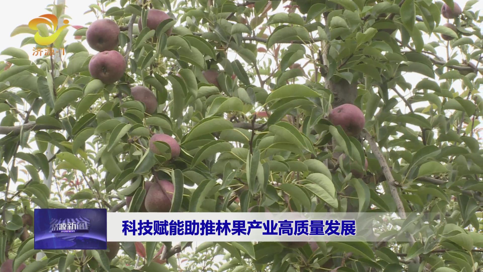 济源网