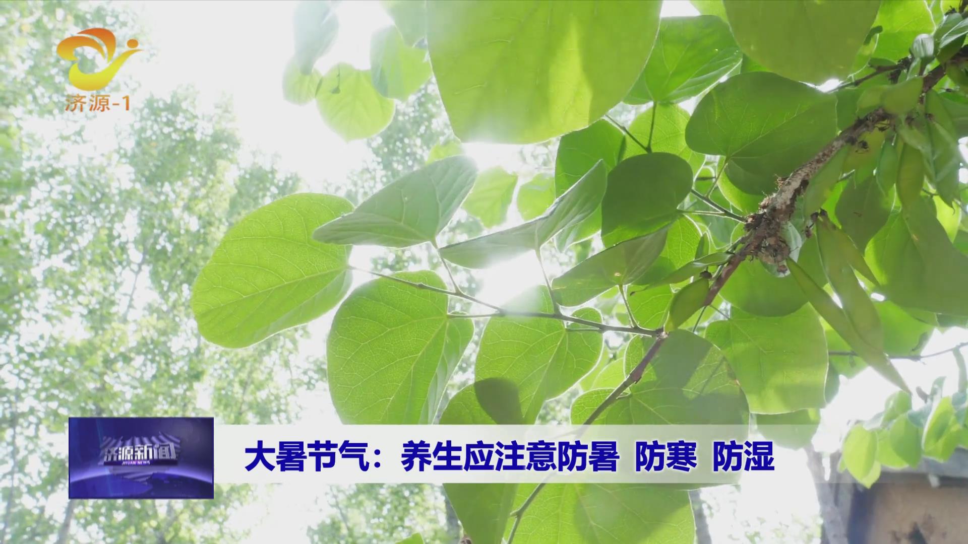 济源网