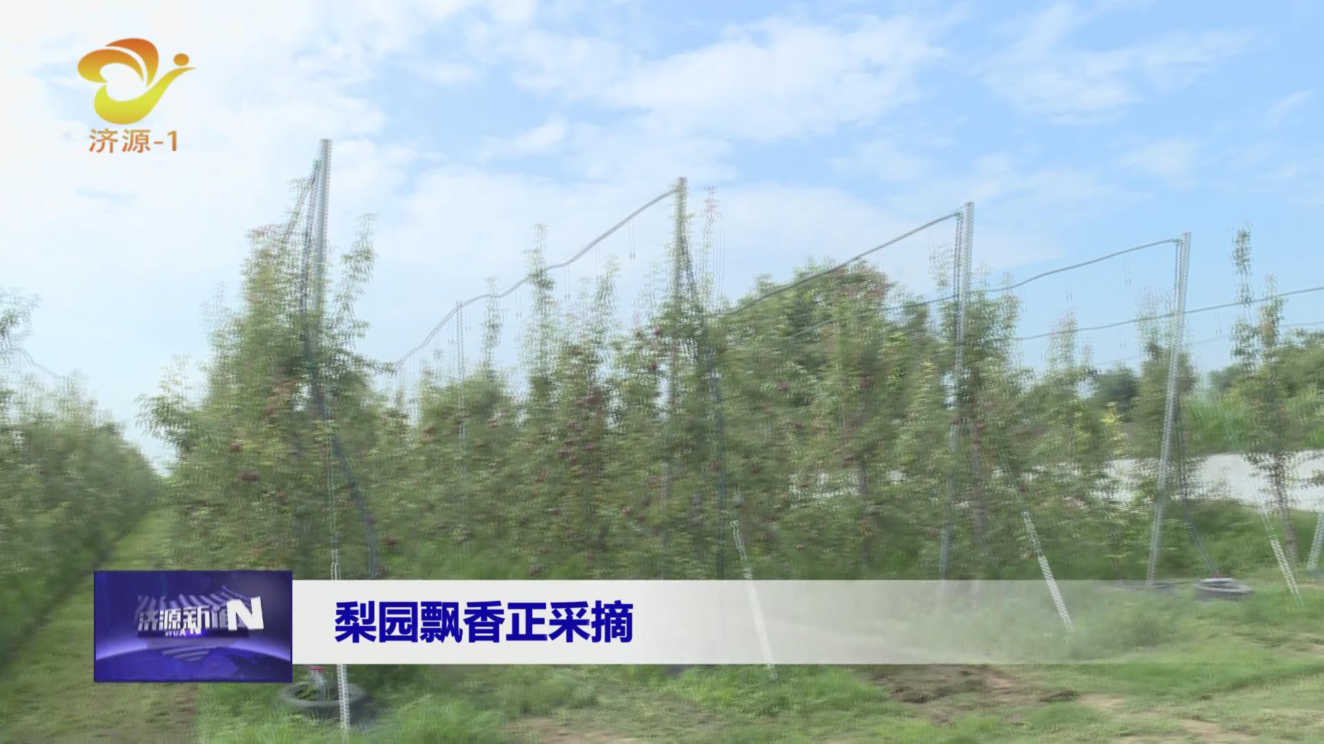 济源网