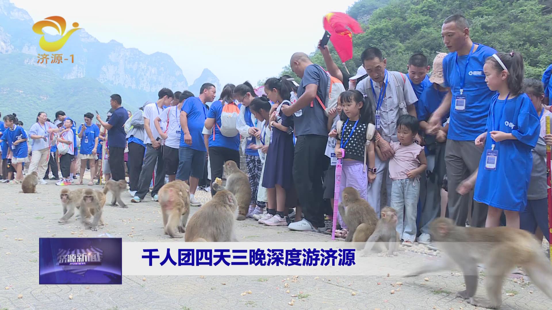 济源网