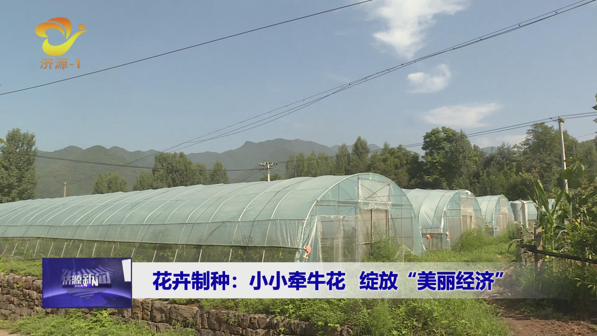 济源网