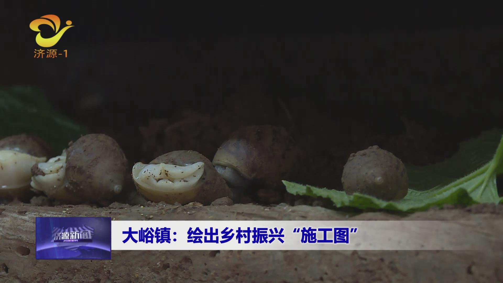 济源网