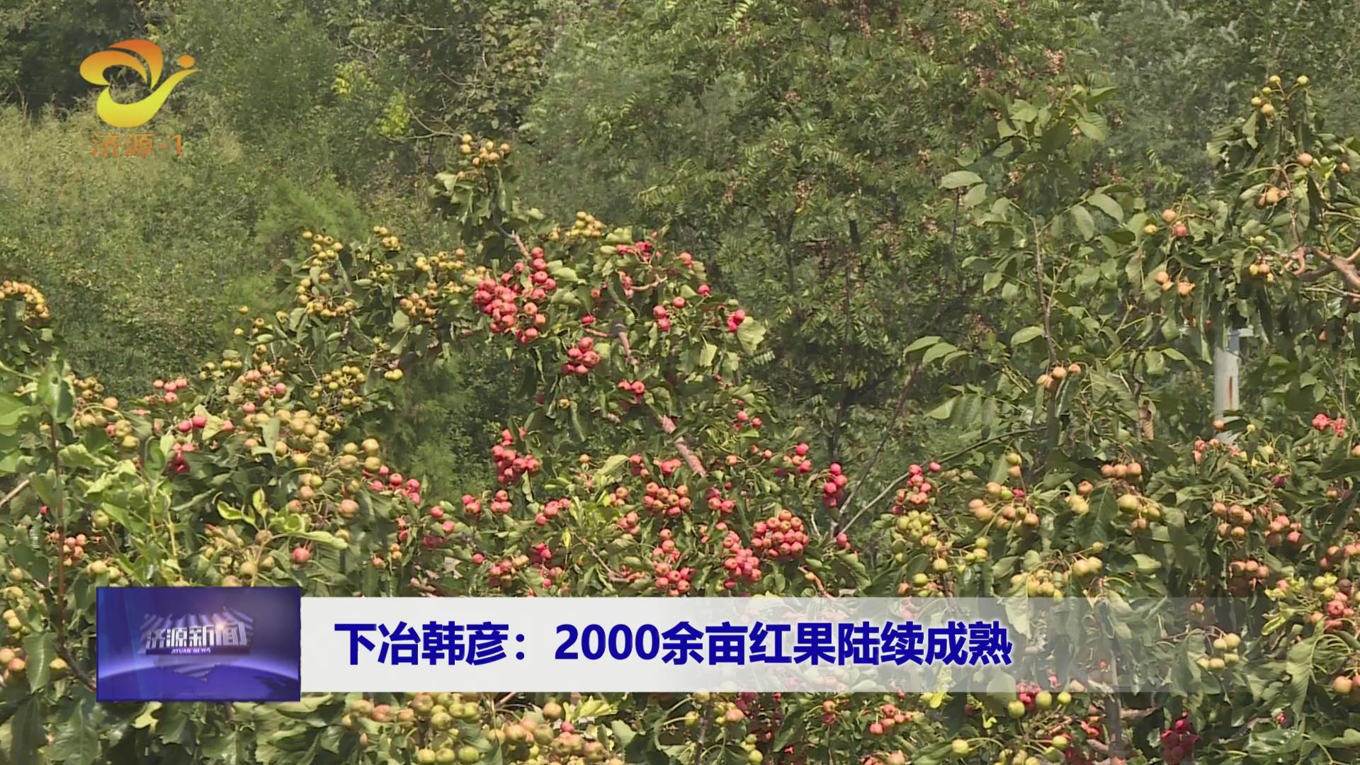 济源网