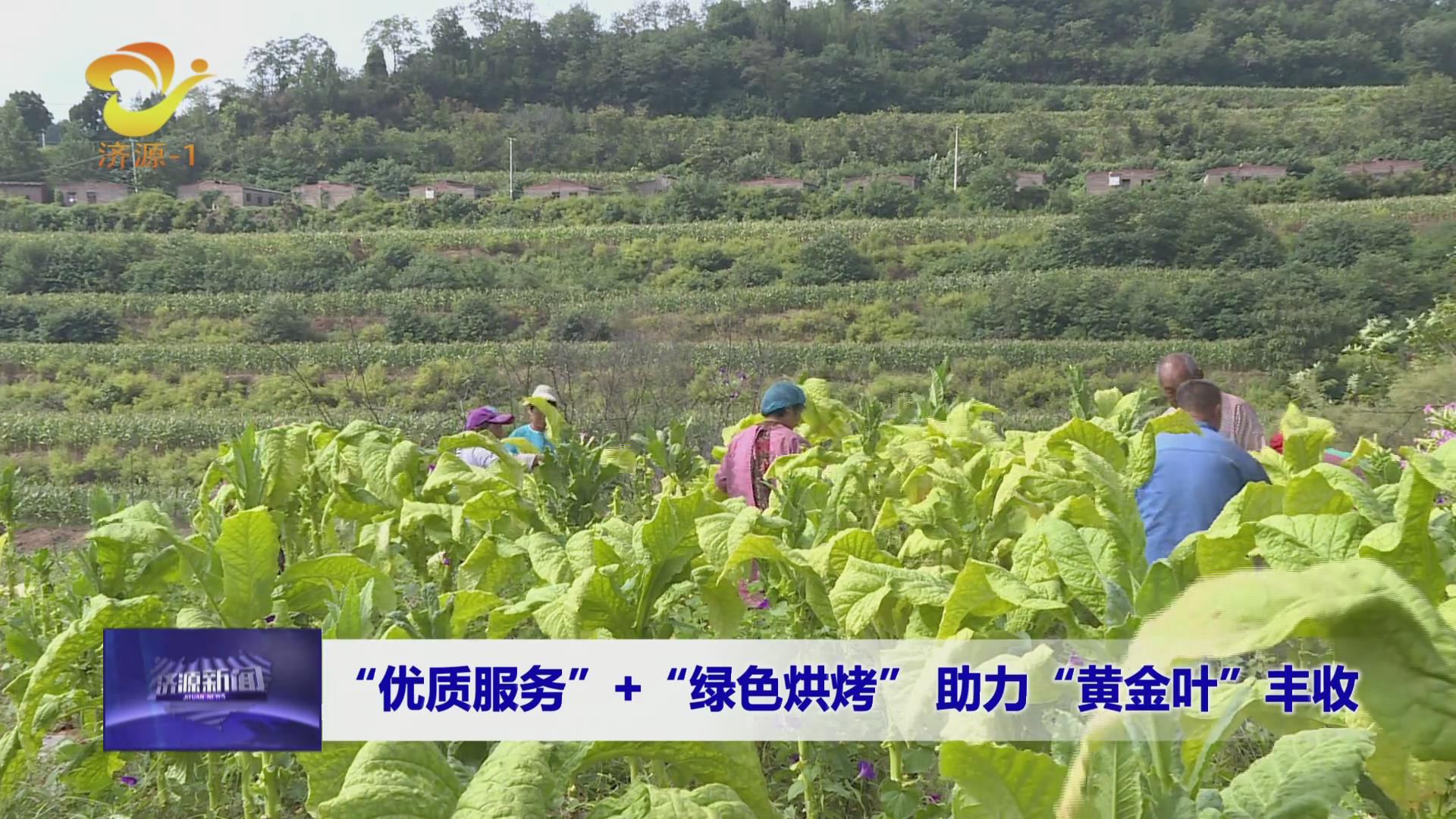 济源网