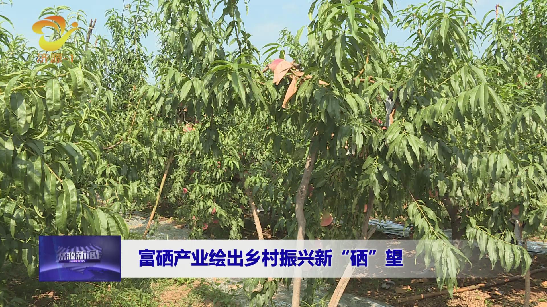 济源网