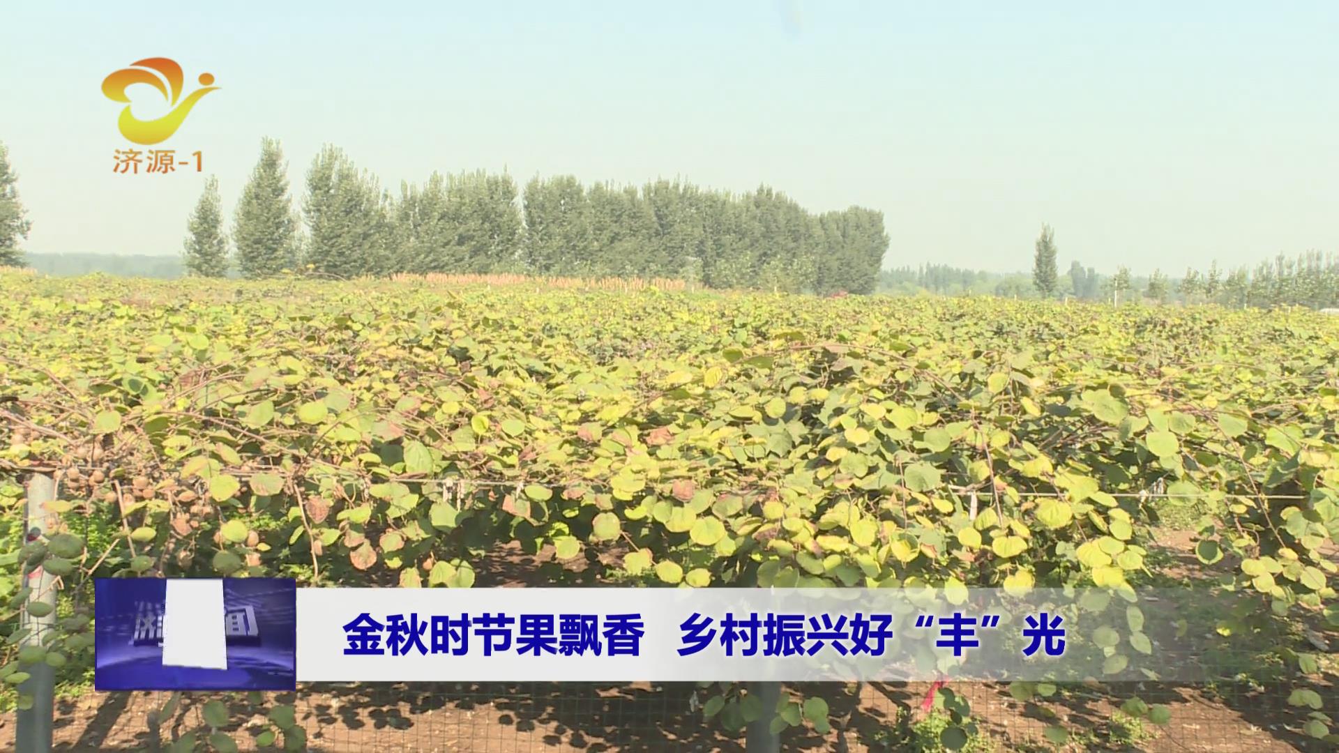 济源网