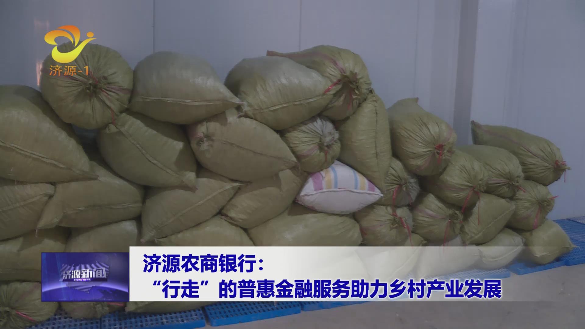 济源网