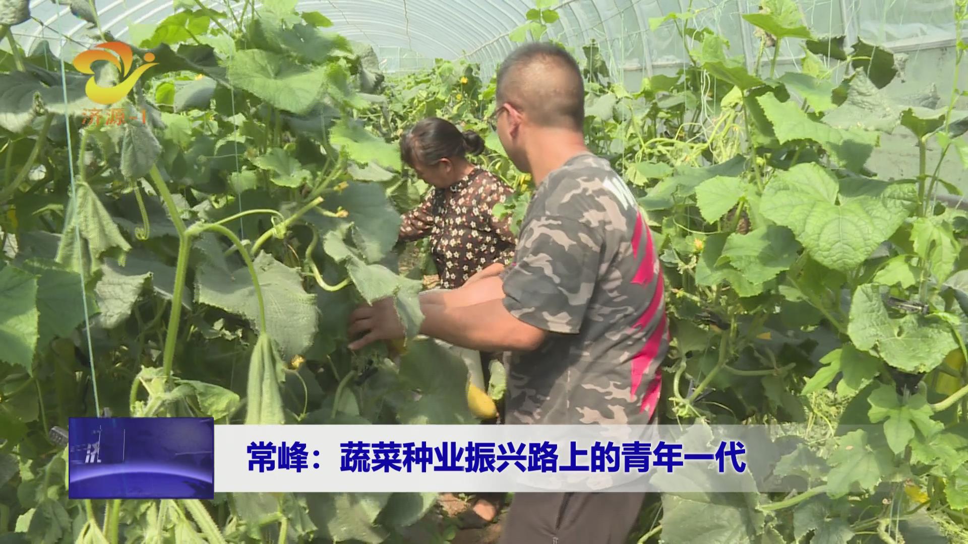 济源网