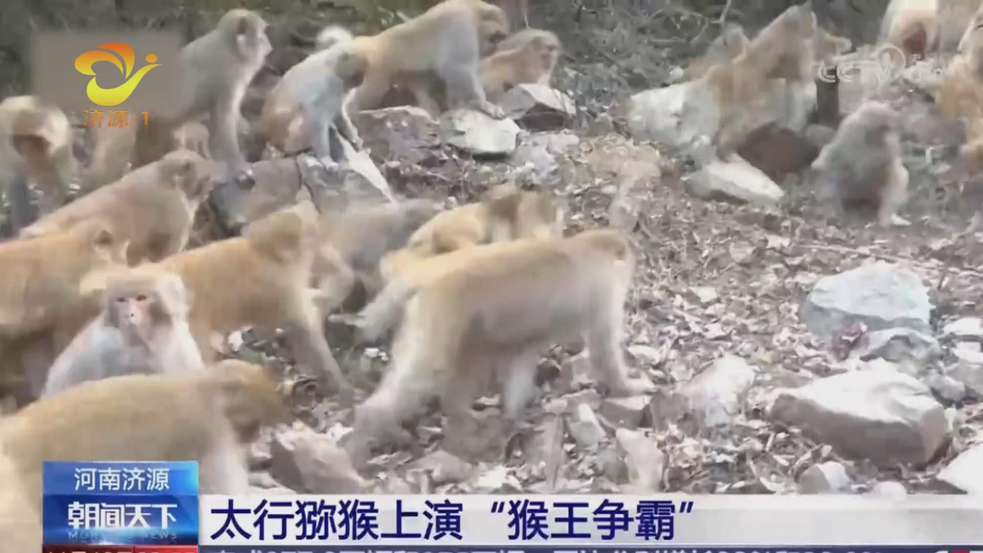 济源网
