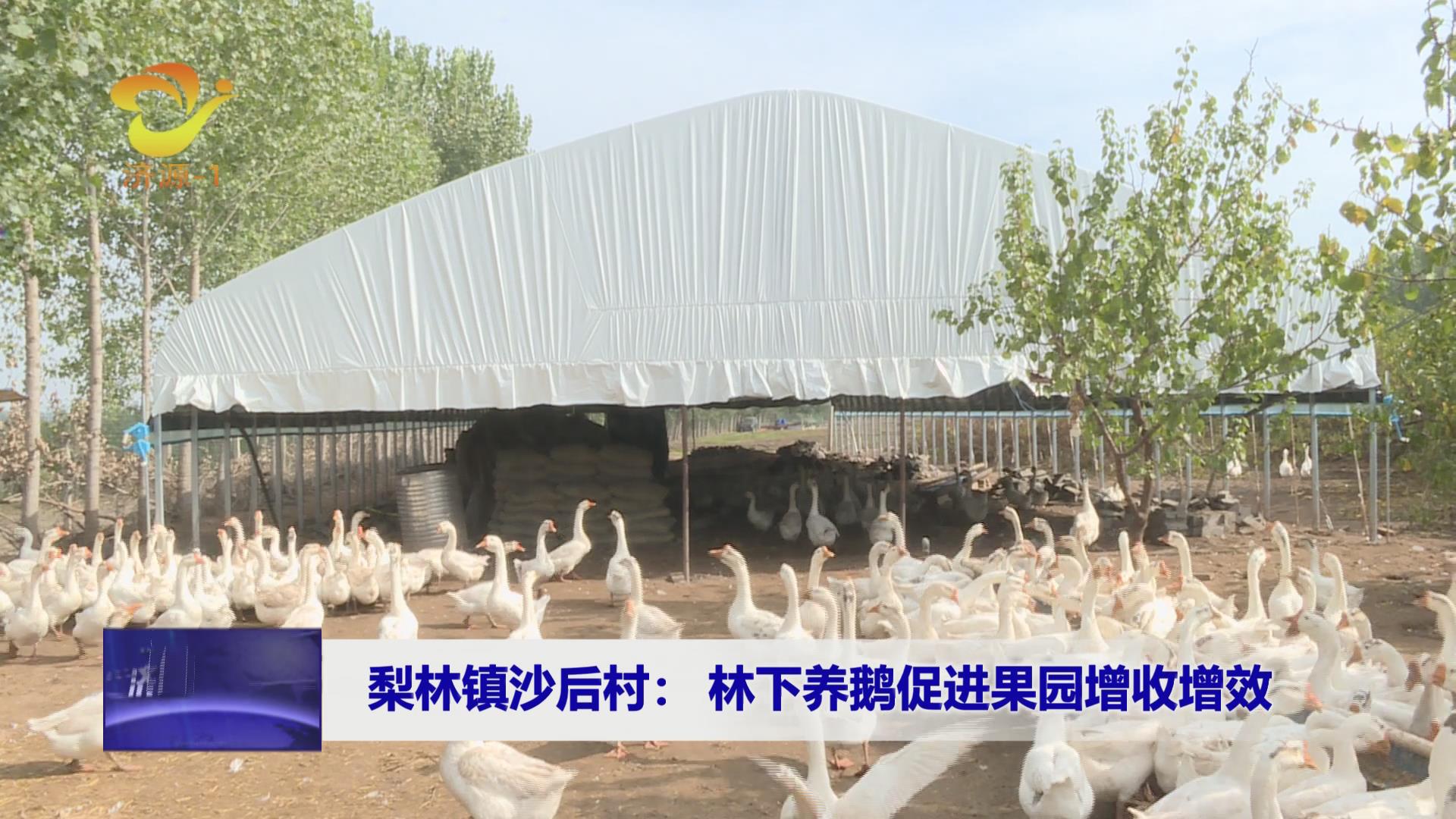济源网