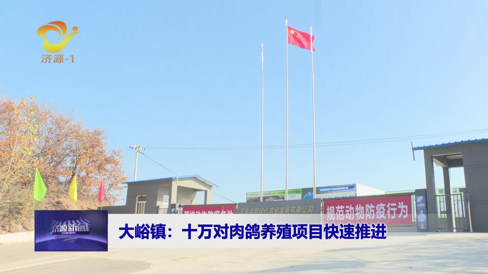 济源网