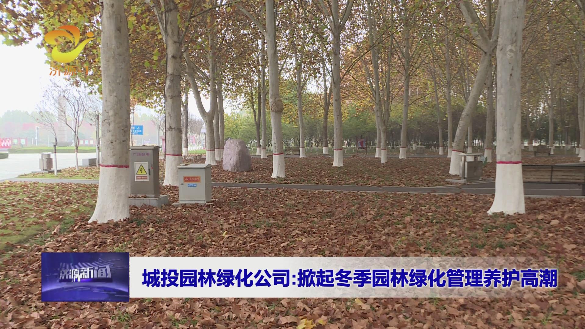 济源网
