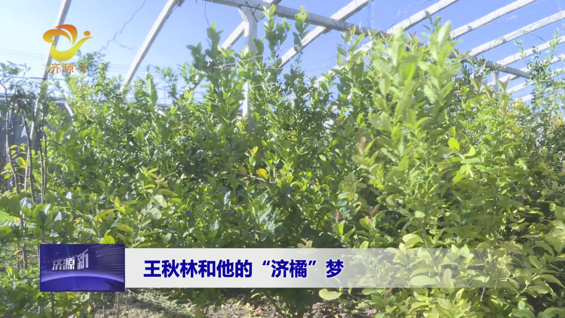 济源网