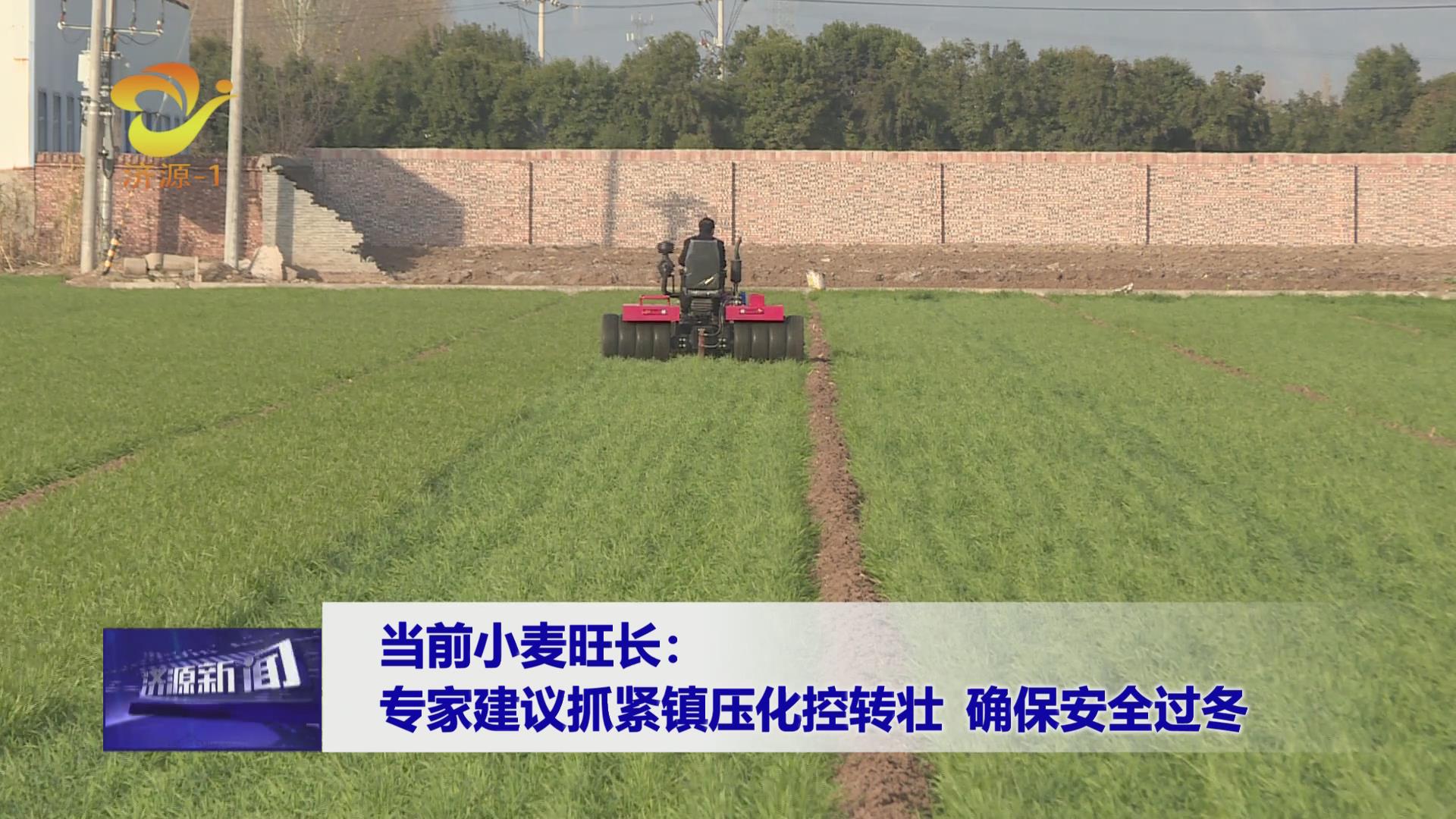 济源网