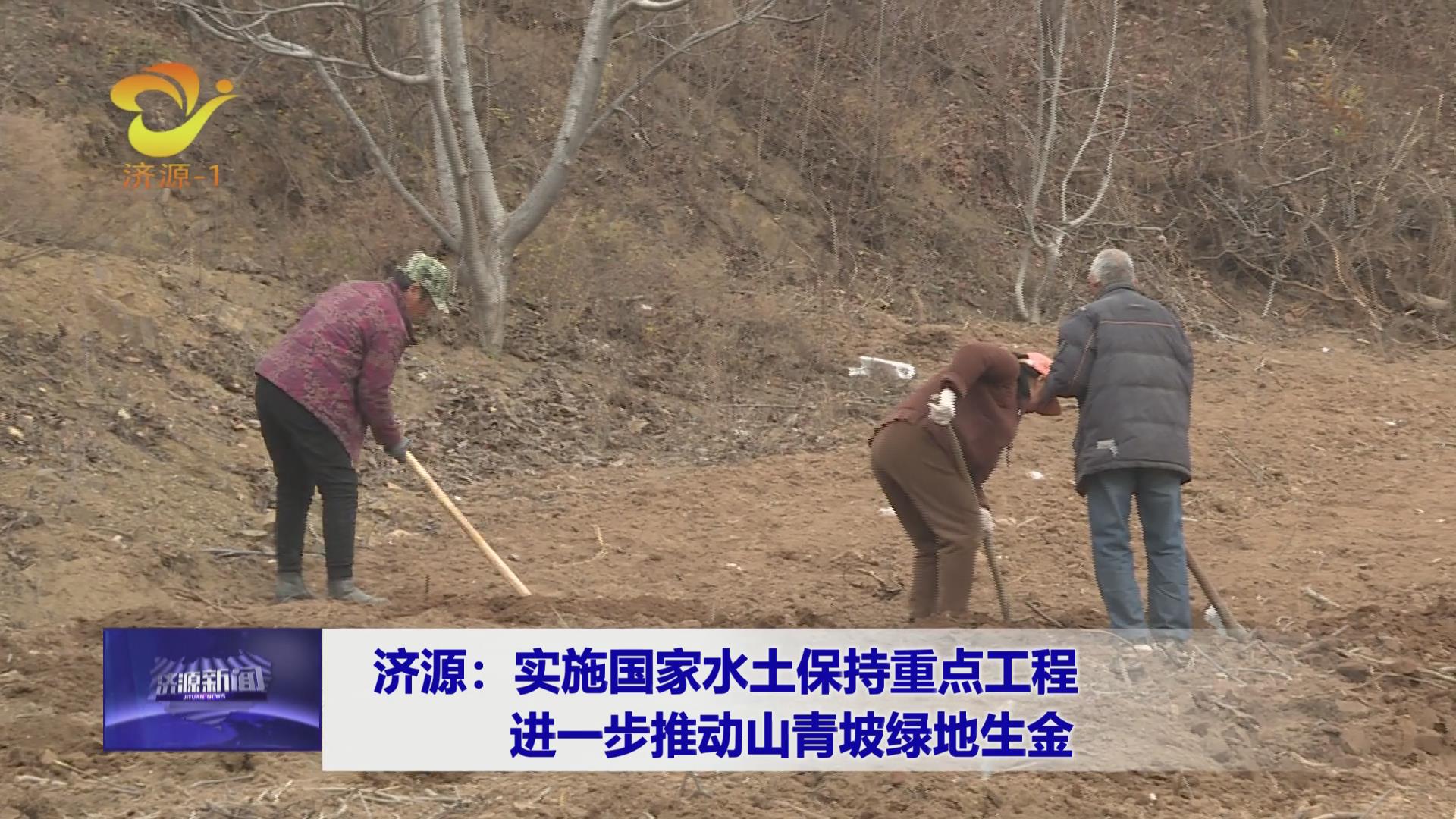 济源网