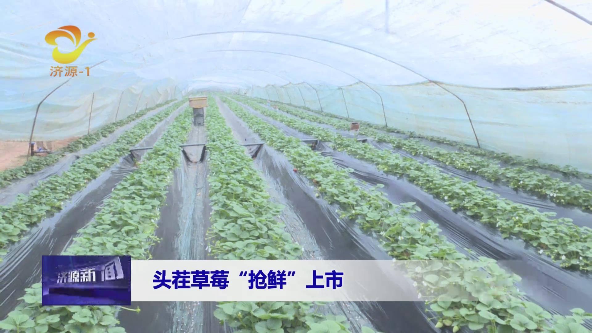 济源网
