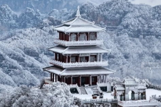 济源网