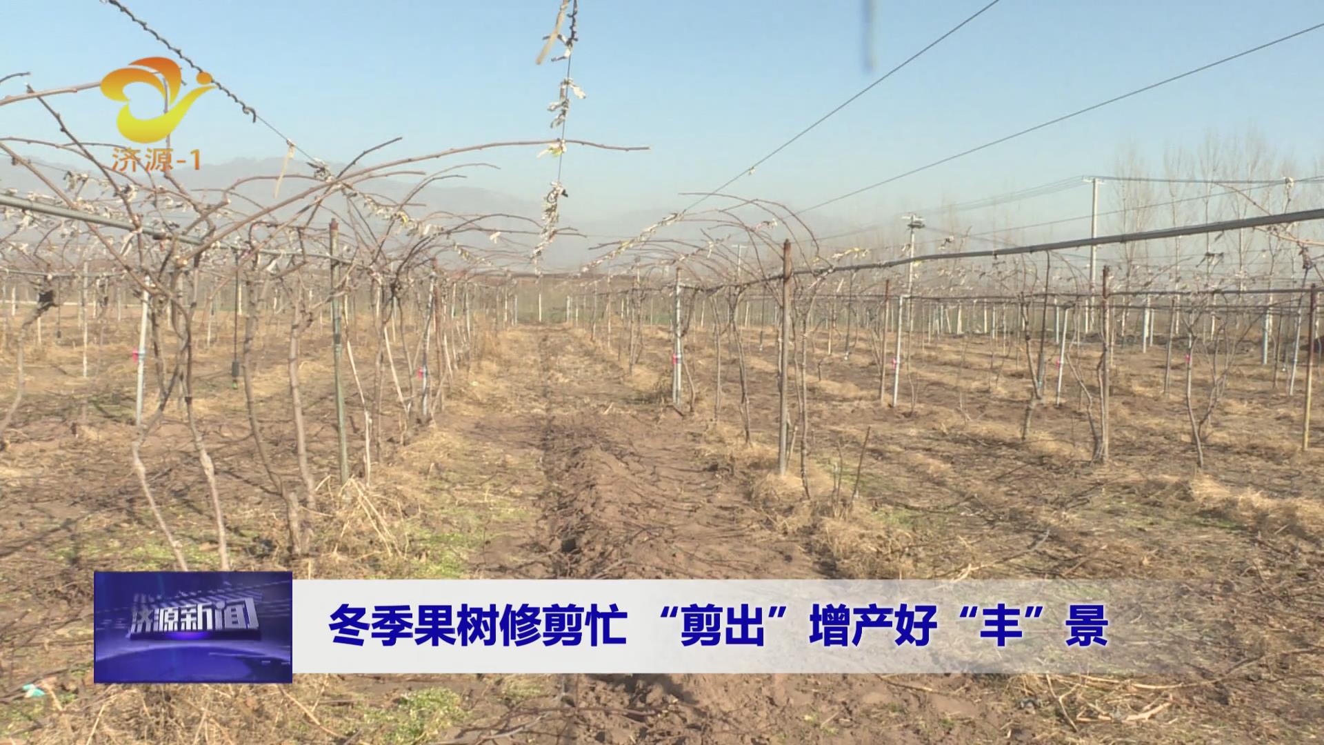 济源网