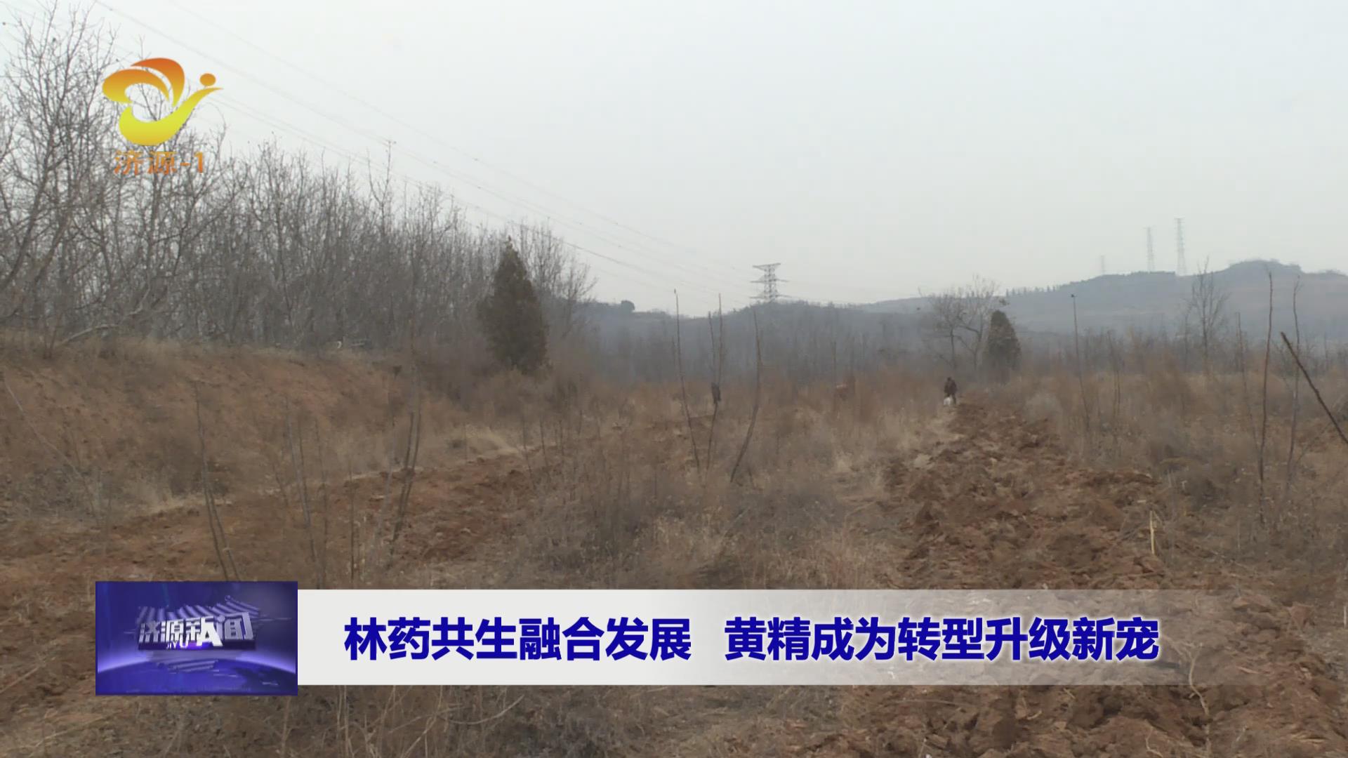 济源网