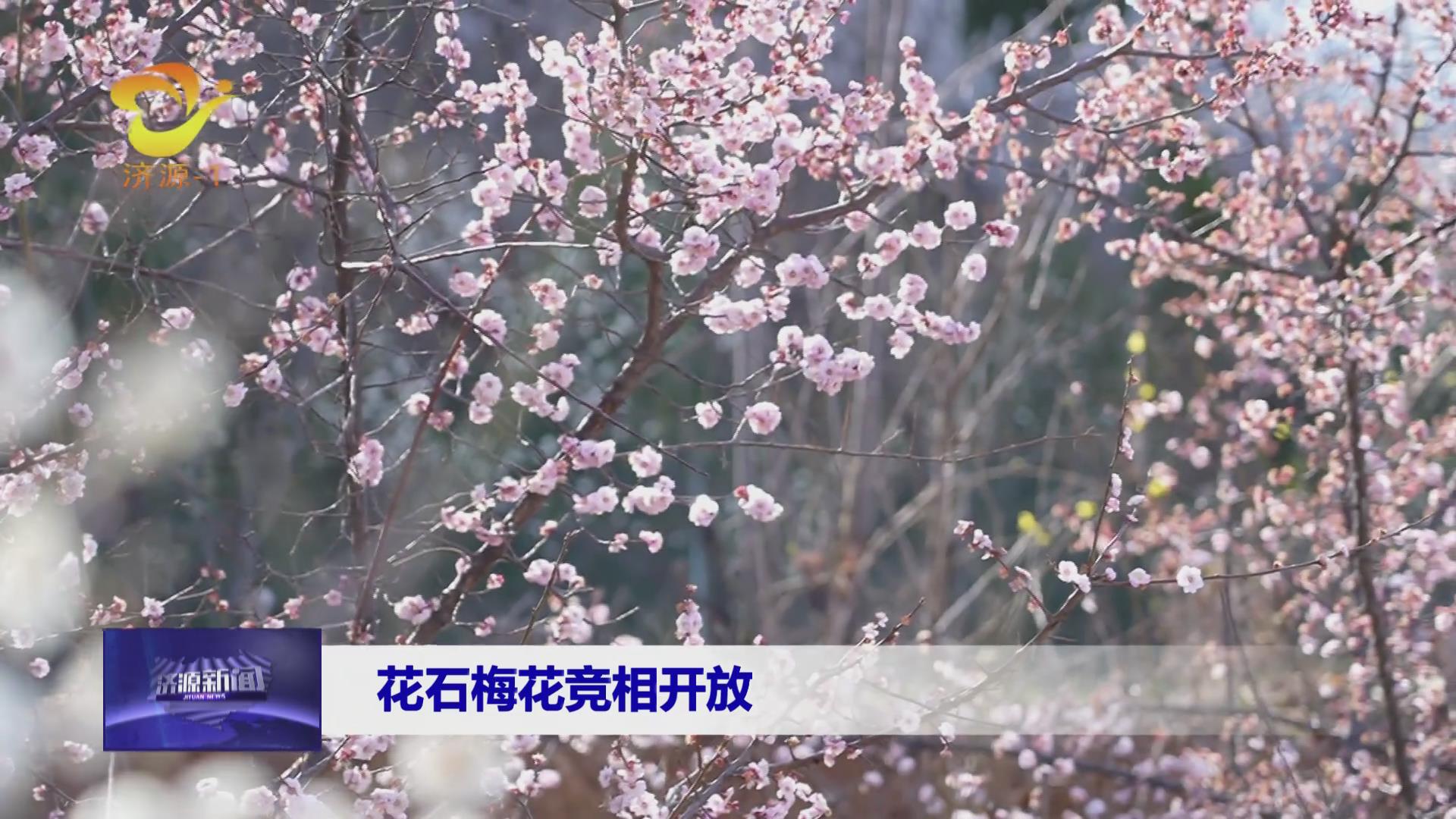 济源网