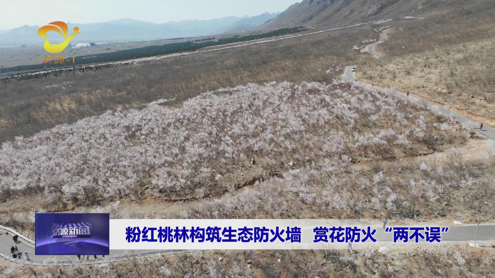 济源网
